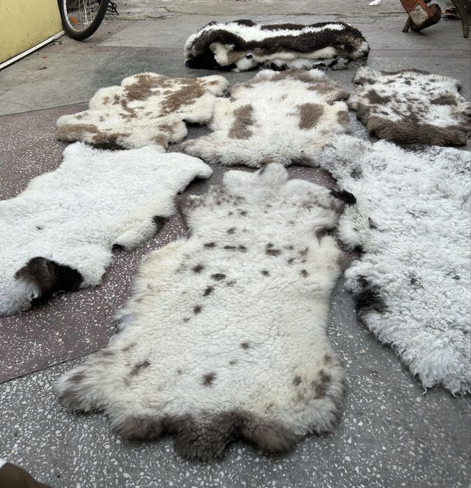 Piele de oaie, blană de oaie tradițională/ naturală