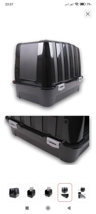 Кошка кошки котики