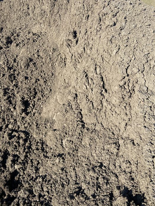 Pamant negru vegetal / Pamant galben nisipos