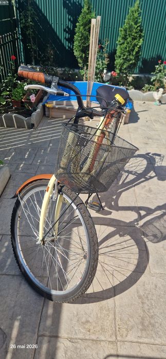 Bicicleta dama vintage