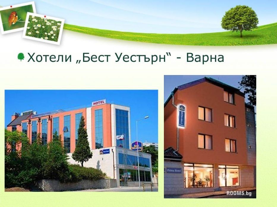 Обработка на градини/дворове/сгради срещу кърлежи, бълхи, гризачи и др