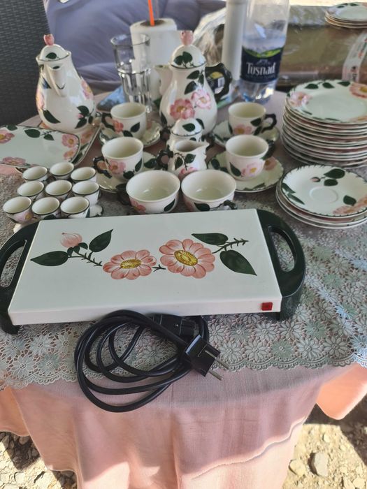 Wild-Rose  si Vileroy&Boch pictate de mana 41 de piese +plita electric