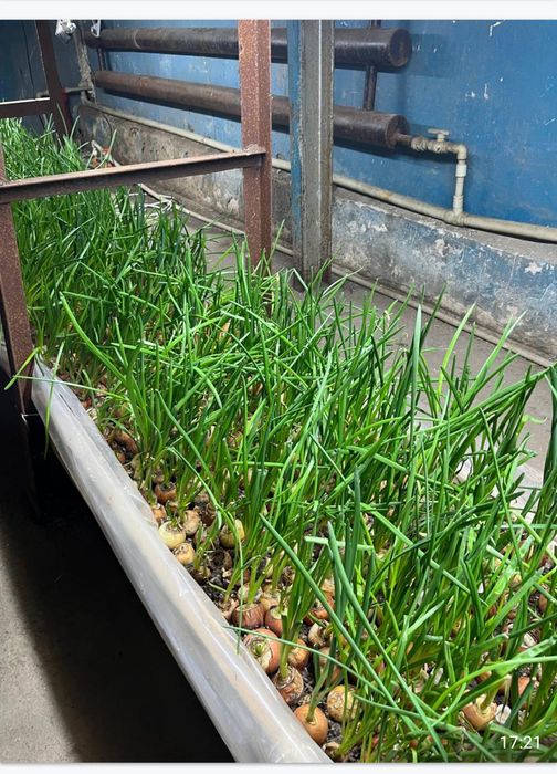 Продам помещение под бизнес.