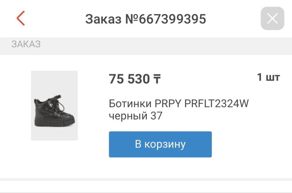 Зимние сапоги PRPY