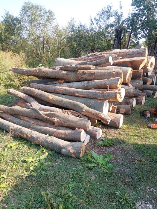 Lemn pentru foc transport inclus în jud cluj