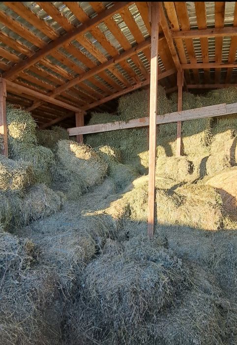 Baloți lucernă a treia coasă.