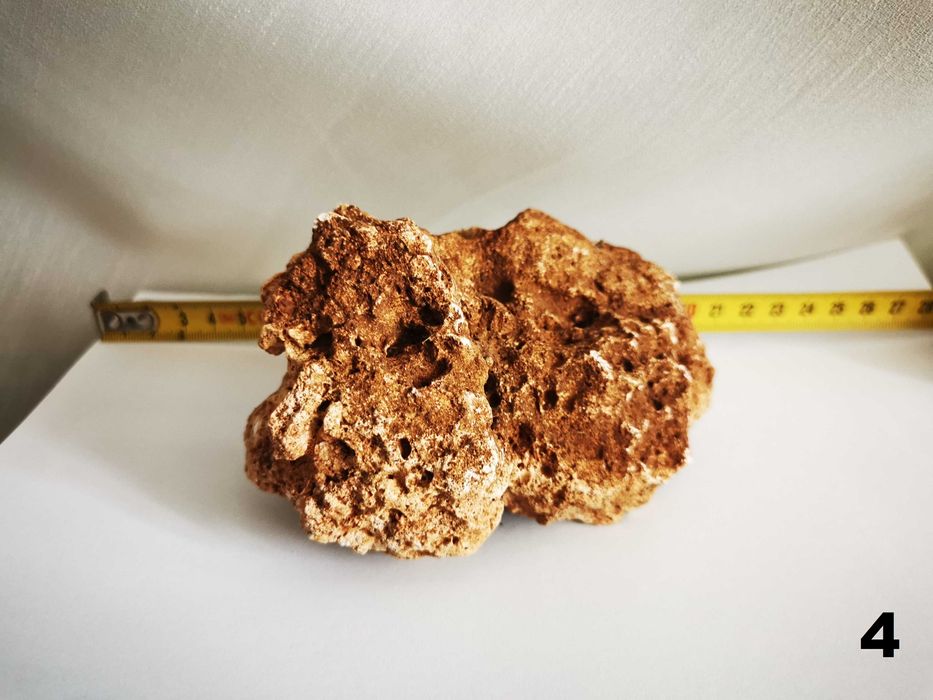 Ornamente naturale pentru terarii, acvarii, spatii int si ext