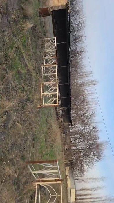 Сотувга чорва учун ферма