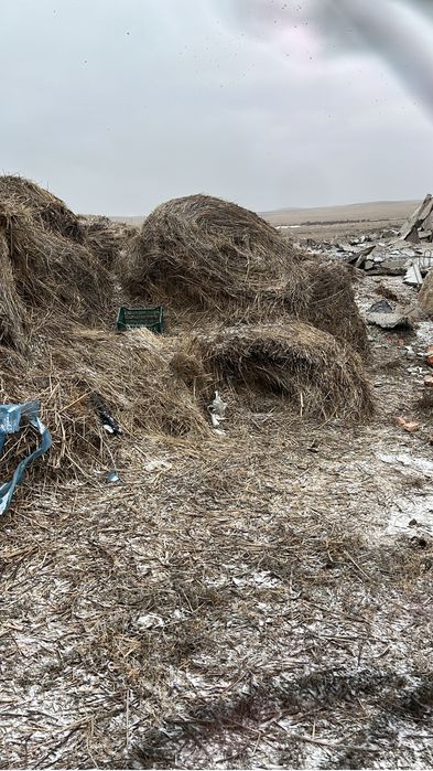 Сено рулон разнотравия