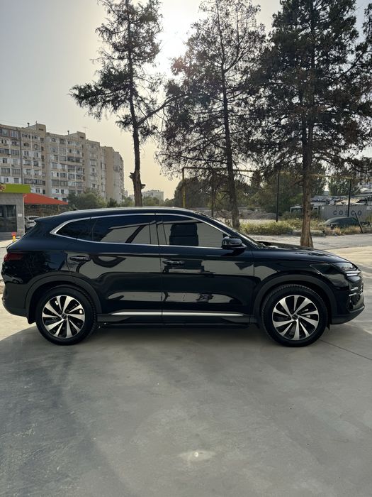 BYD Chempion Gibrit 2024/25 110 klm Dop Opsiya