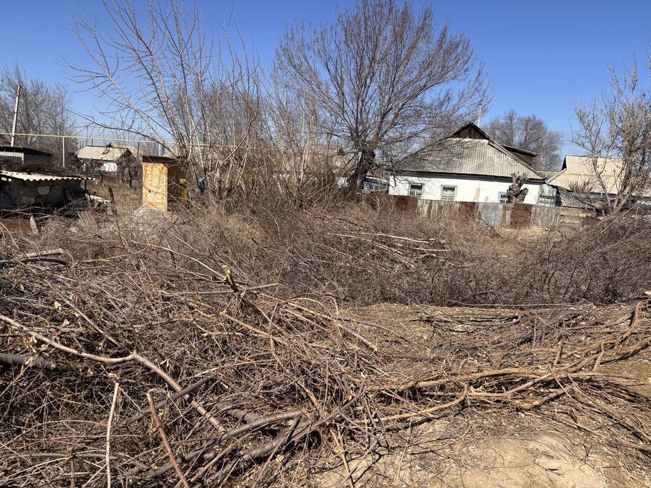 Отдам дрова бесплатно