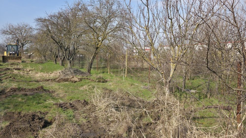 Lemn de prun pentru afumatoare sau de foc