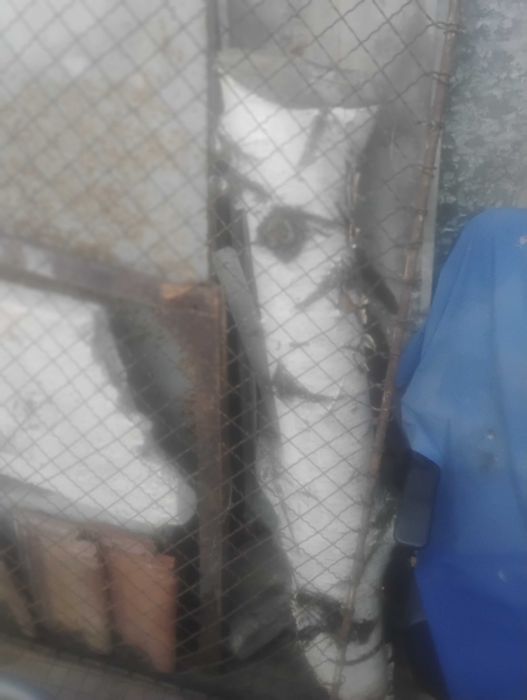 Бреза сух материал