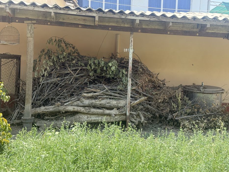 Дарахтлардан чиккан утин сотилади,яхши куриган, катта кунда хам бор