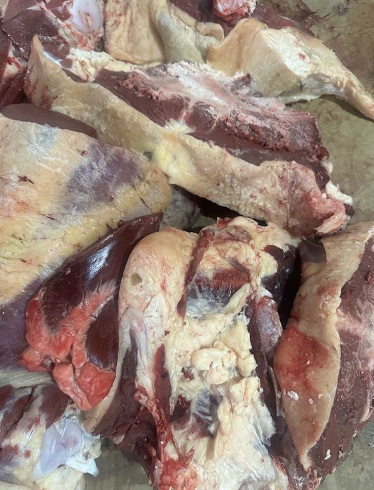 Обнинск пен Балабановодан келген әйелдер арасындағы секс