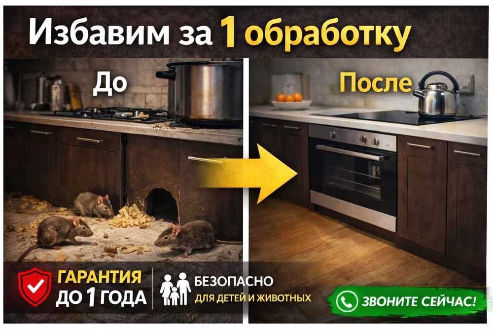 Избавим от мышей, крыс, тараканов — Быстро и Безопасно — с 1 обработки