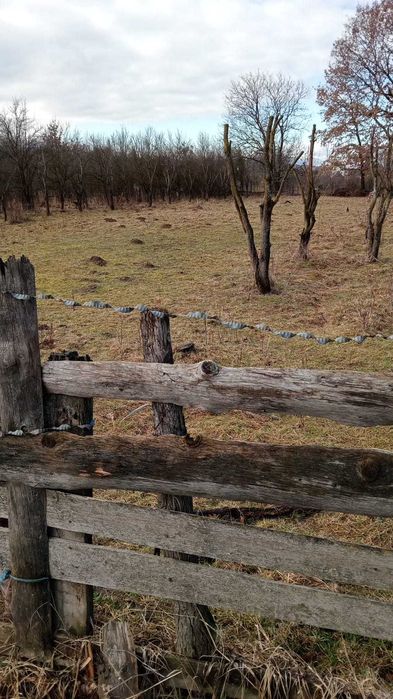 Teren intravilan de vânzare – 1.020 mp – Porumbacu de Sus (Sibiu)