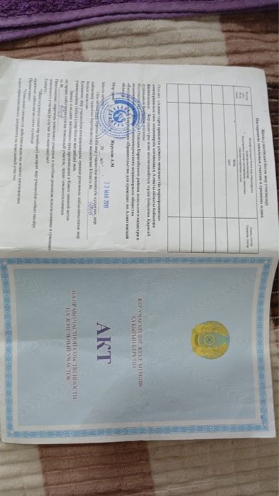 Каскелен  тауы , 20 гектар, 2  речка ,ышетын су бар.  20млн