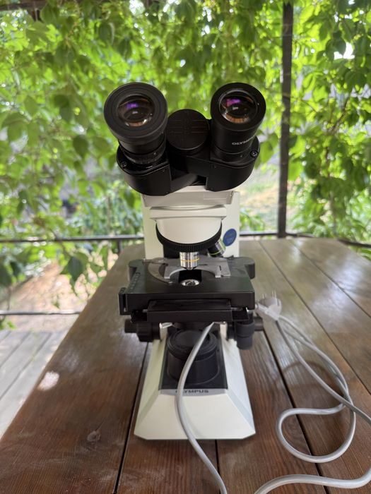 Микроскоп Olympus СХ 31