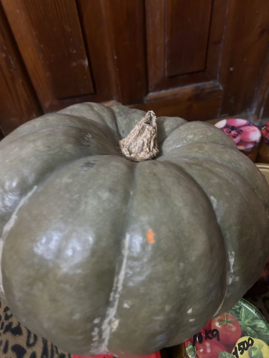 Тыква домашняя за 2000тг