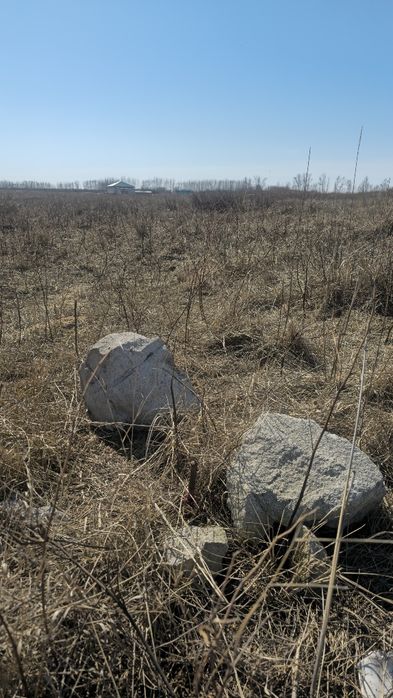 Мектепке жакын жер телімі