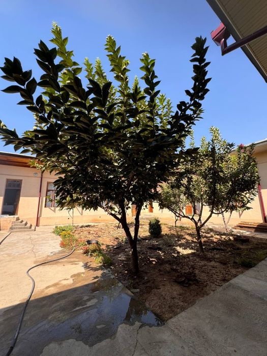 ijaraga uy hovli   ayollar va qizlarni qo'yamiz