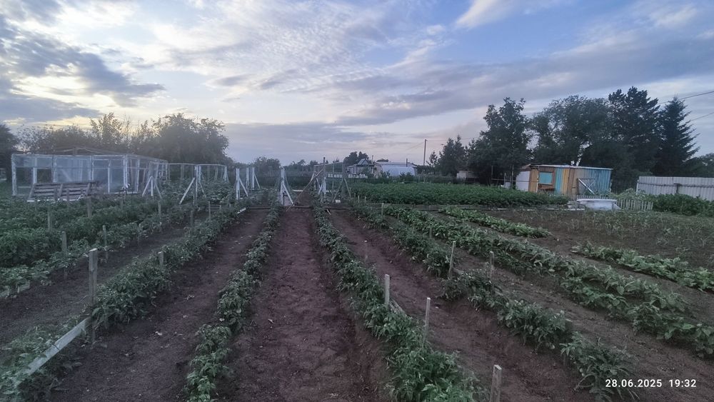 Продам дачу конца сезон на СОЮЗ