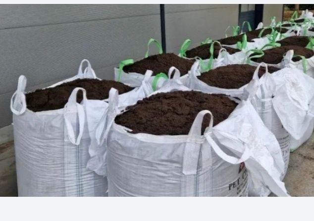 Биягомис олый навли