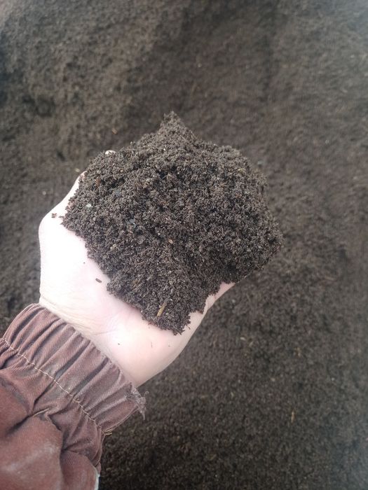 Biogumus va Kaliforniya chuvalchangi