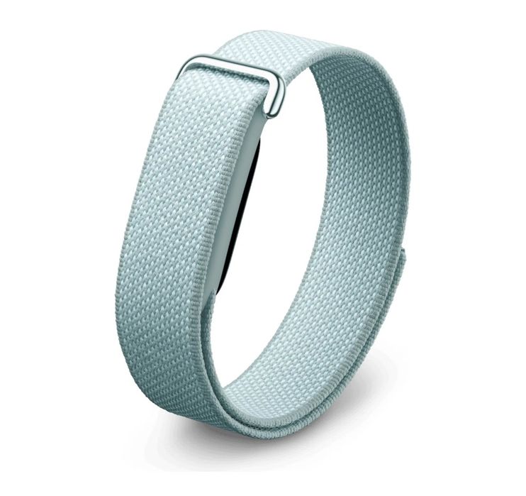 Фитнес-браслет Google Fitbit Air Black.