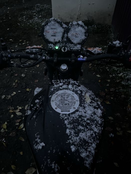 Рейсер Тигр 150 продам