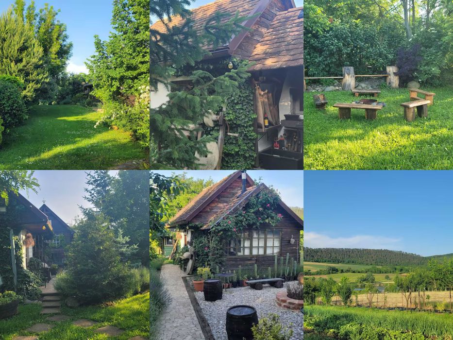 Vand 0.75 ha in Bazna, doua case, casuta, camping, airbnb...