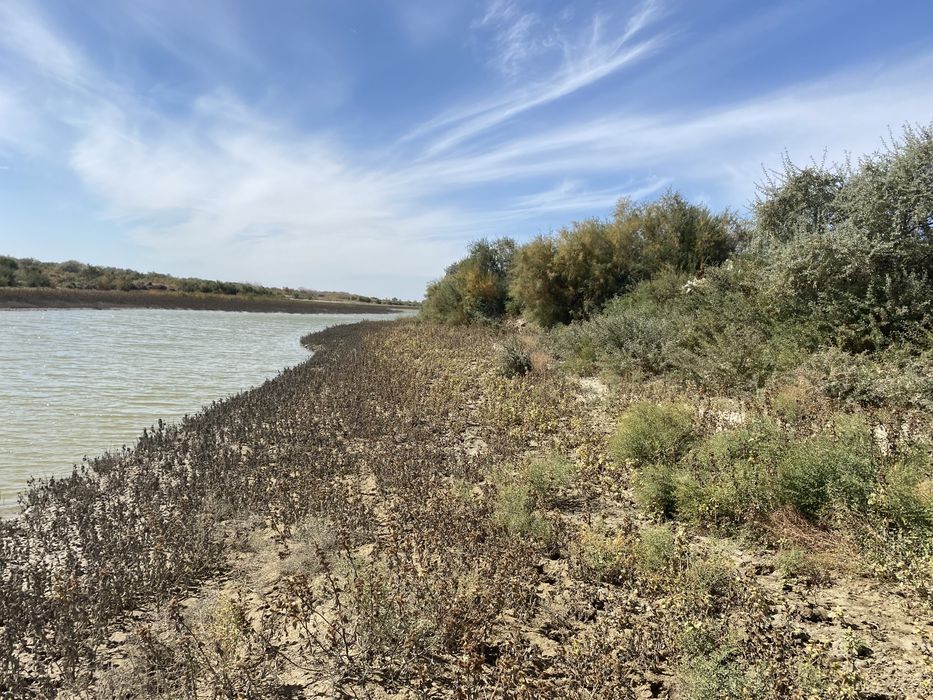 Земельный участок для к/х