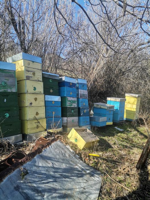 Пчелни  многокорпусни кошери