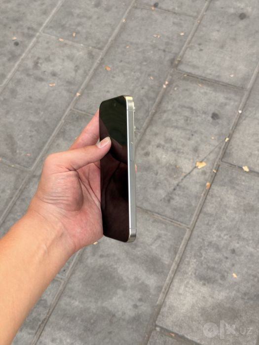 iPhone 15 Pro Natural Titanium 256gb/79%