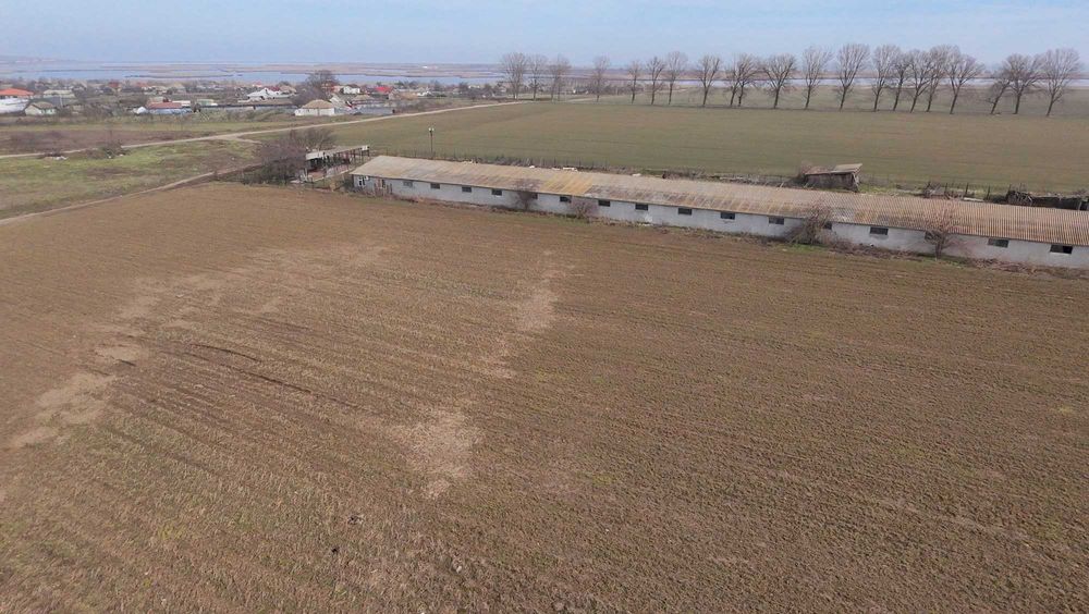 VAND sau INCHIRIEZ  FERMA in Salcioara, judet Tulcea