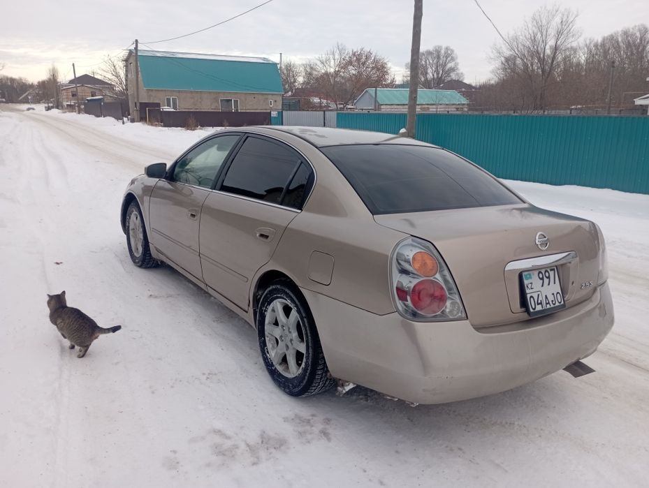 Алтима 2005 рейсталинг