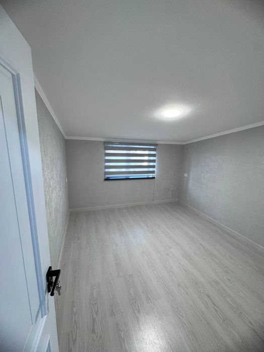 Qoraqamich marsarda ham bor