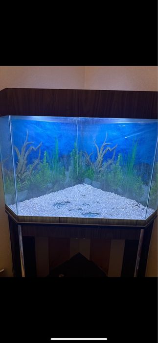 Продается Аквариум Akvarium 300-350 литр