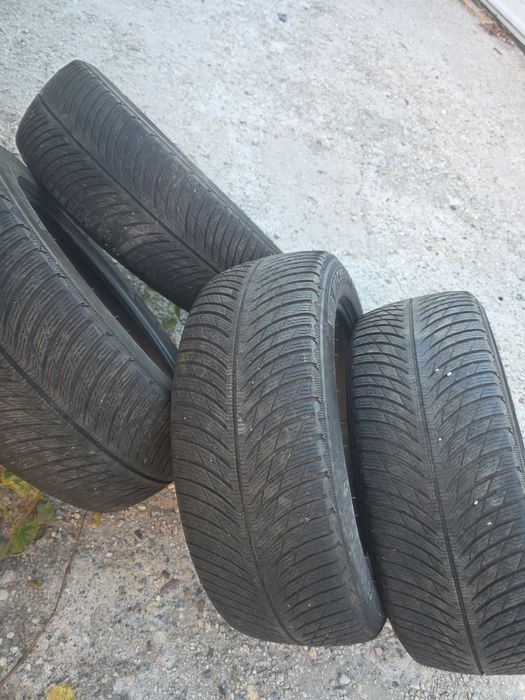 Michelin pilot alpin 5