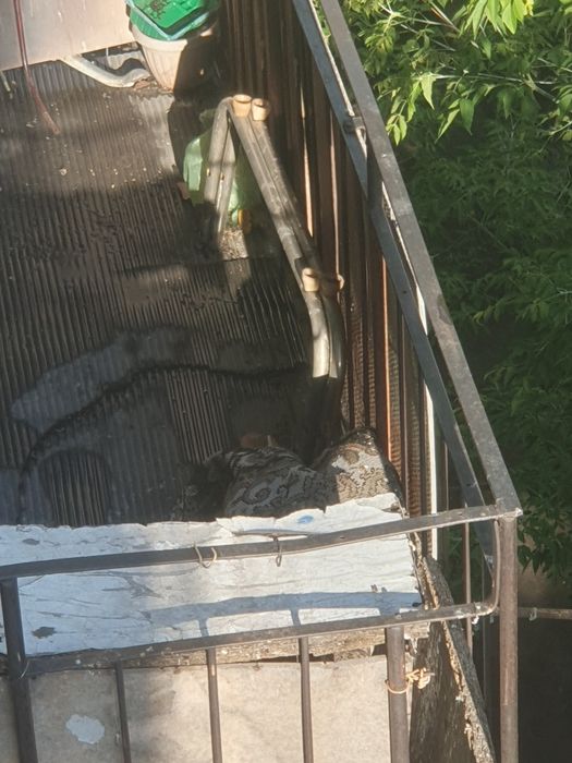 Советская кровать на панцирной сетке