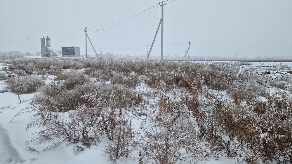 Участок 50 соток