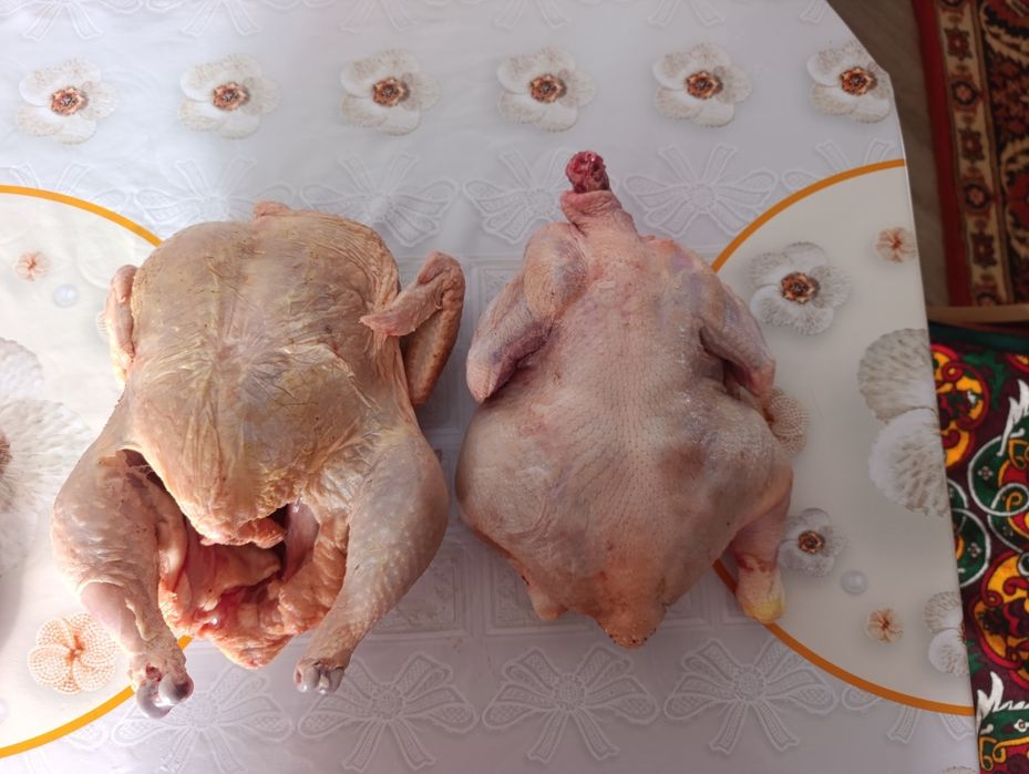 Тушки бройлера можно оптом