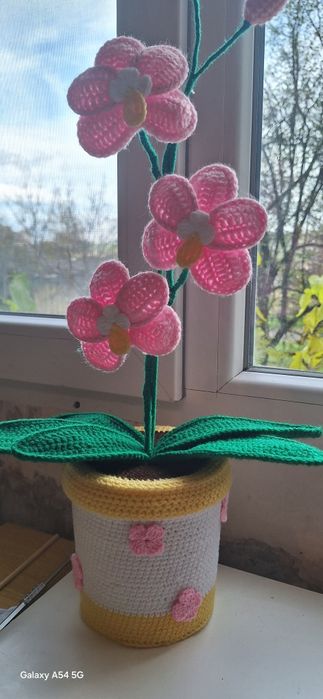 Орхидеи вечно красиви