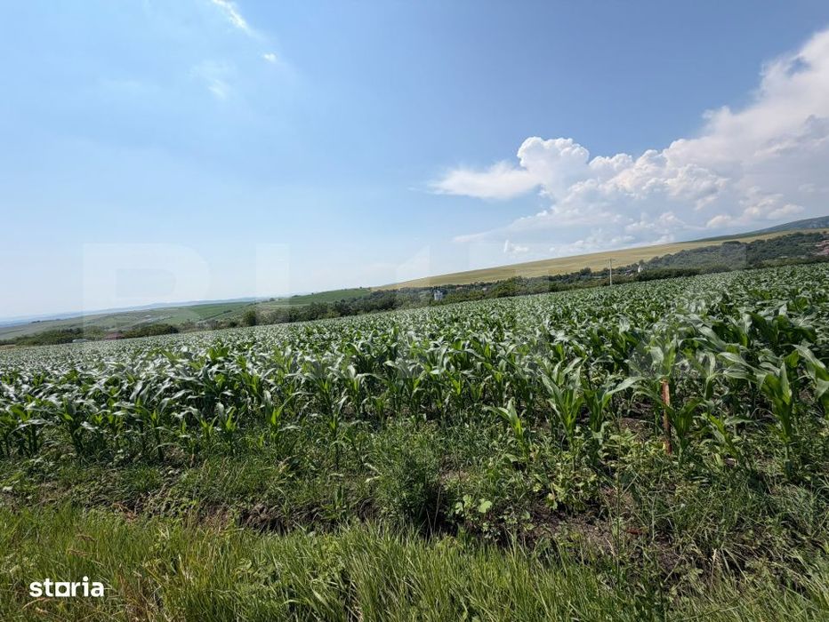 Teren intravilan, 1900 mp, sat Sandulesti