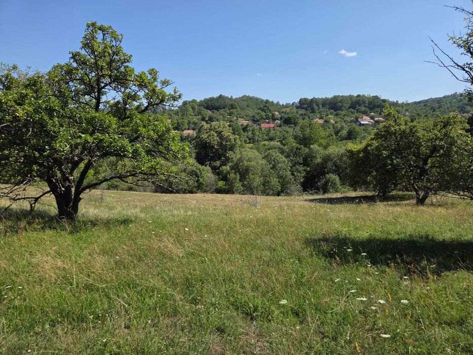Teren intravilan de vânzare – Cacova Ierii, județul Cluj