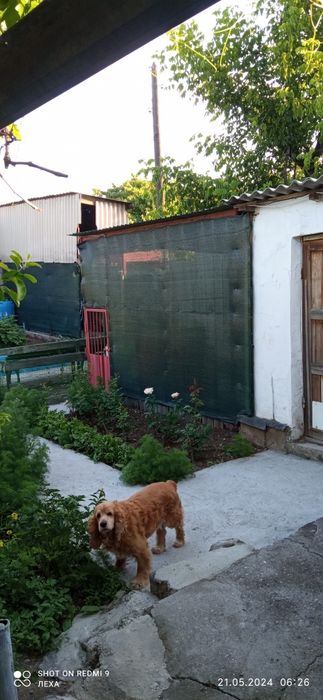 Продам/обменяю уютный дом