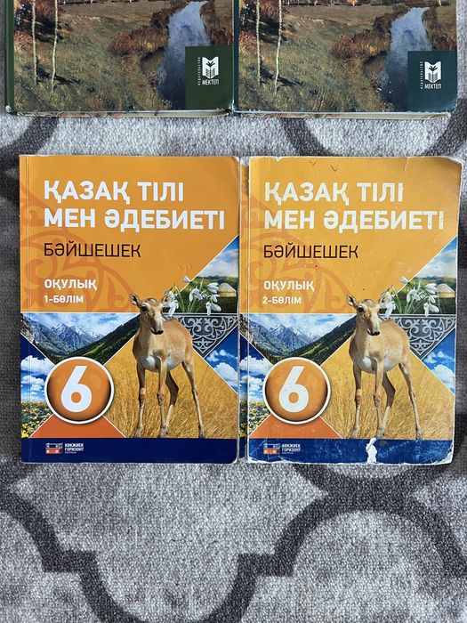 книги 6 класс русс