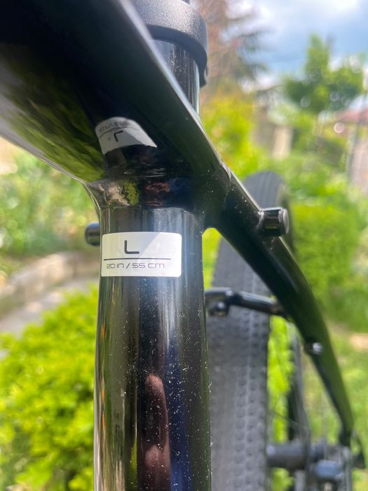 Trek Dual sport 2 Alpha gold