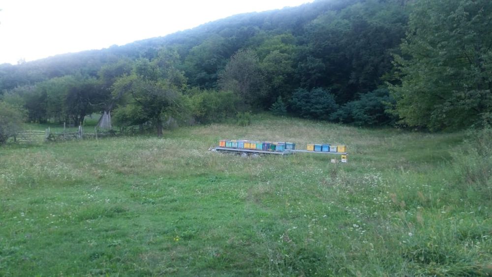 Remorca apicola extensibila  40 stupi an 2019